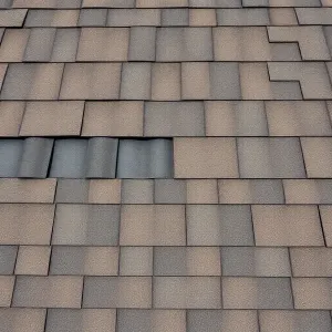 Co pod gont bitumiczny